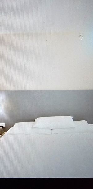 Room in a Shared House, Ham Park Road, E15 - Photo 1