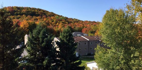 4 1/2 Bromont - Photo 2