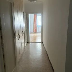 Natürlich beschattete 2 Zimmer mit Balkon und separater Küche - Photo 3