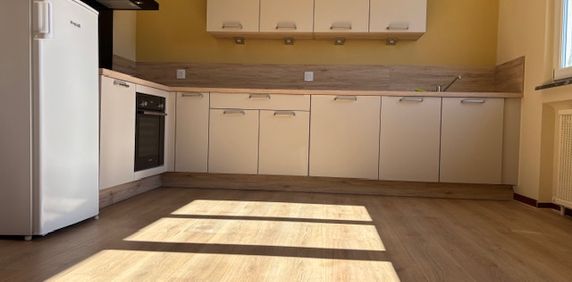 Location Appartement 3 pièces 79m² SARREBOURG 57400 - Photo 2