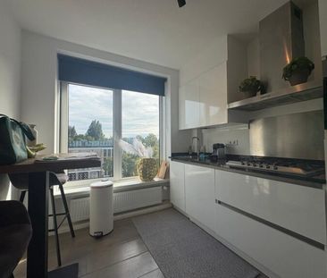 Haagbeuklaan - Photo 3