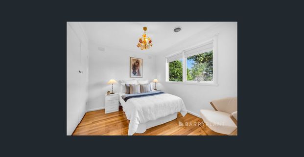 Prime Location - Photo 1