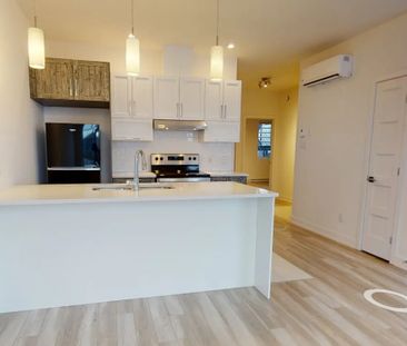 36 Rue Marjorie-D.-Shackleton (Plateau) Tout Inclus 4 1/2 - Photo 3