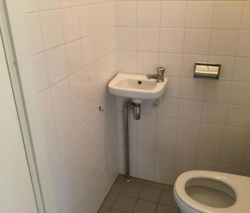 Ringslang 5 - Photo 1