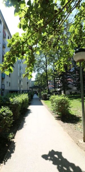 3 Zimmer Wohnung mit großer Loggia - Provisionsfrei! - Foto 1