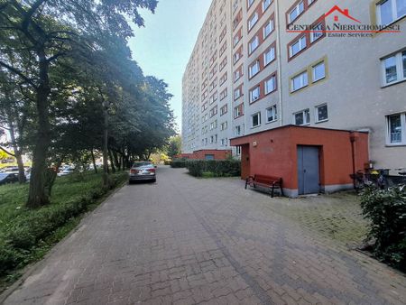 Toruń - Фото 4