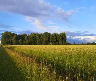 Talby: Ljus härlig trea i lantlig miljö - Foto 3