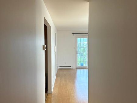 2964 Rue Montcalm - Photo 3