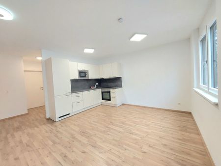 Moderne Traumwohnung mit Balkon in Korneuburg | 47m2 Wohnfläche | 8,80m2 Balkon | Bahnhofs- und Zentrumsnähe | Ideal für Singles und Paare - Photo 5