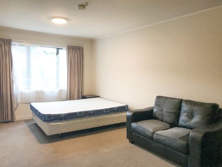 Room 2/1036A George Street, Dunedin North, Dunedin City - Photo 2