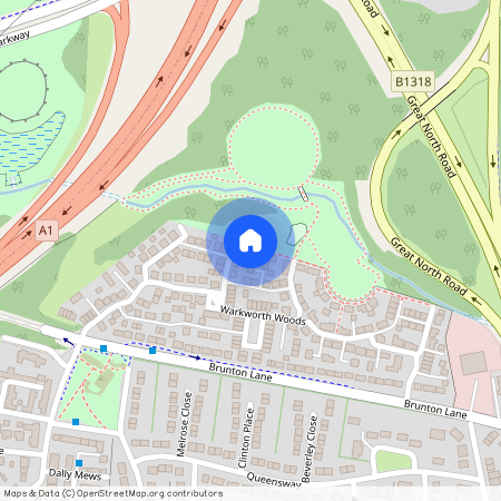 Warkworth Woods, Newcastle Upon Tyne