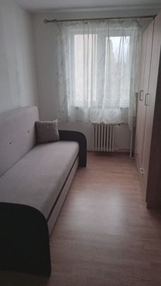 Camera camin, 10mp., mobilata/utilata, Bularga – JUMBO - Fotografie 1