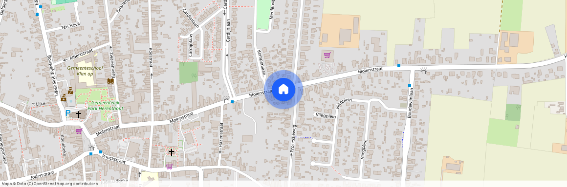 Molenstraat 100 / A, 2270 Herenthout