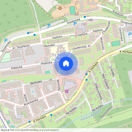 Chudenická, Praha 10 - Hostivař