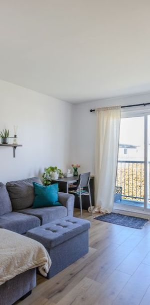 Le M Appartements Appartement 3 ½ à Louer Lévis Juillet 2025 - Photo 1