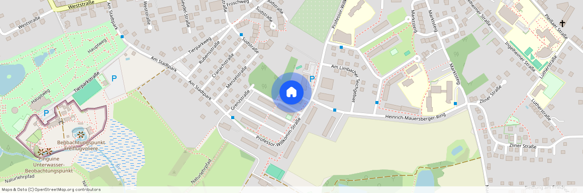 Professor-Willkomm-Str. 13c, 09212 Sachsen - Limbach-Oberfrohna