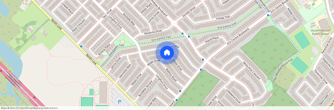 3869 MAYLA Drive Unit# BSMT, Mississauga