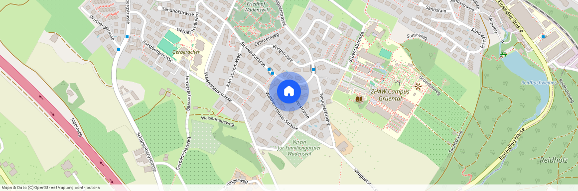 Eichweidstrasse 26, 8820 Wädenswil