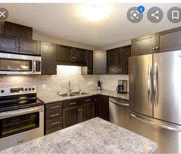 For Lease - 204 Couling Crescent, Guelph, Ontario - Photo 6