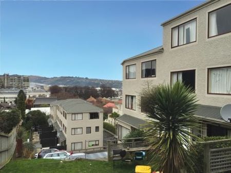 Spacious Sunny 6BR Dunedin Delight - Photo 4