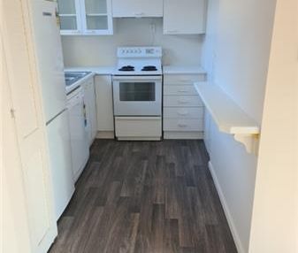 238A Edgeware Road, St Albans, Christchurch City - Easycare Living ... - Photo 3