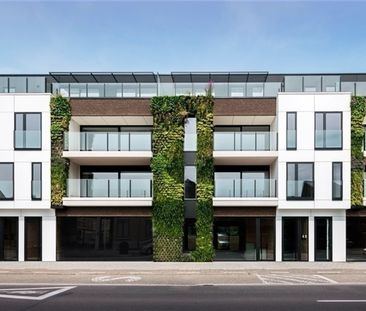 Dorp 4, 2820 Bonheiden - Foto 6