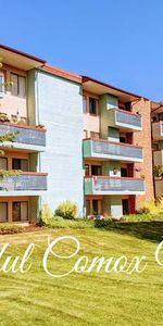 lovely spacious 2 bed 1.5 bath with in unit laundry! - Photo 3