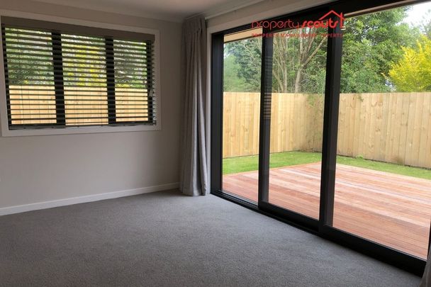 Brand new on Nelson - Photo 1