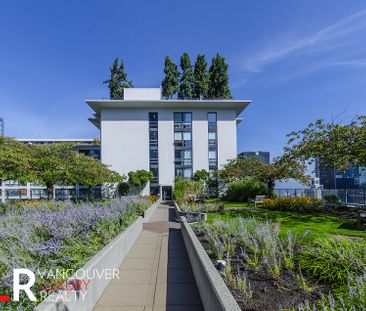 Condo in Downtown Vancouver, BC - Photo 6