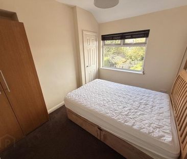 46 Sandhurst Drive, Belfast, BT9 5AY - Photo 4
