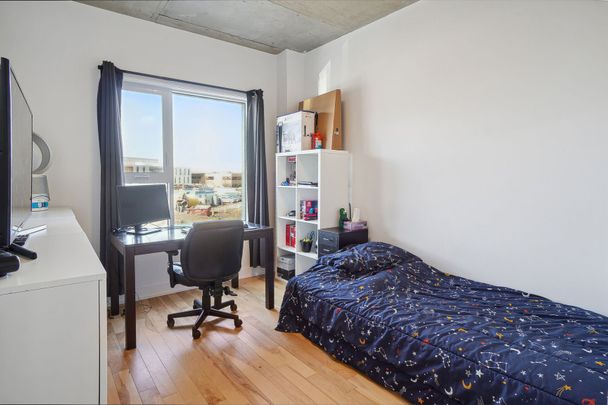 Condo for rent, Montréal (Rosemont/La Petite-Patrie) - Photo 1