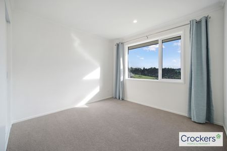 Brand New Lifestyle Home in Helensville - Photo 3