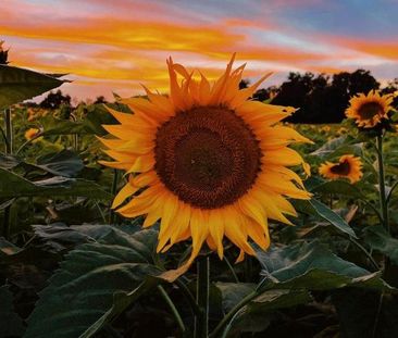 Hofgemeinschaftsgründung-nahe Ottersberg - Photo 1