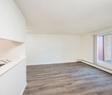 Parkview Estates Apartments — Studio - Photo 3