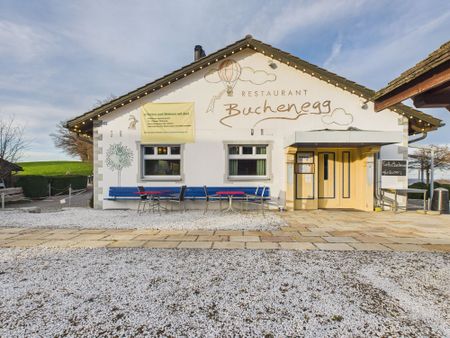 Charmante 2.5-Zimmer-Loftwohnung mit Cheminee im ehemaligen Restaurant Buchenegg, Stallikon - Foto 4