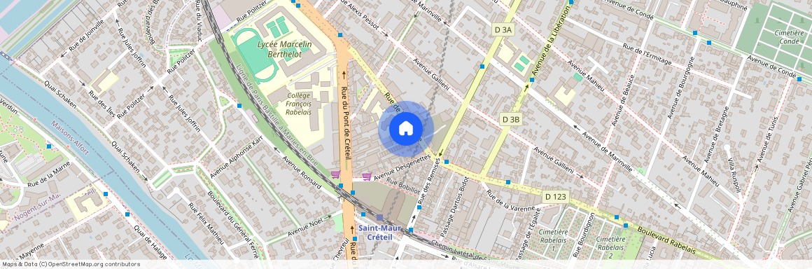 94100, Saint-Maur-Des-Fossés