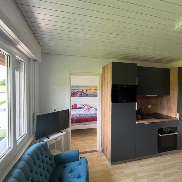 Charmanter Apartment mit 2 Zimmern in Forel (Lavaux) - Photo 1