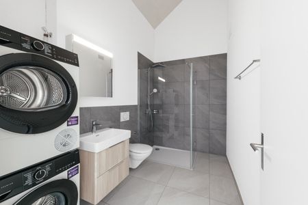 Rent a 2 ½ rooms apartment in Schöfflisdorf - Photo 5