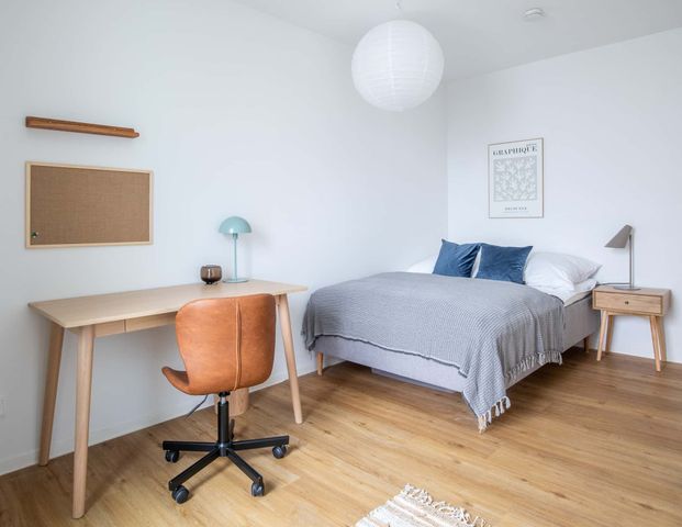 Alfons 5 Room 3 Mighty - Photo 1