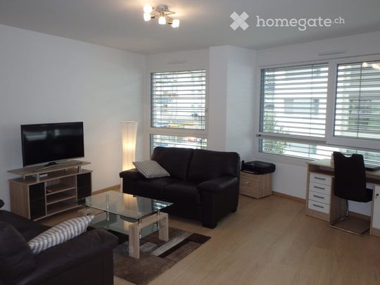 Appartement meublé/Furnished apartment - Photo 1