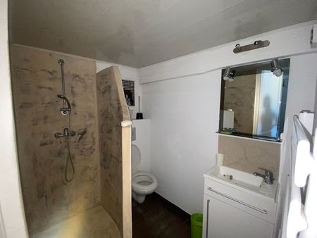 Location Appartement 1 pièce 19m² - Photo 4