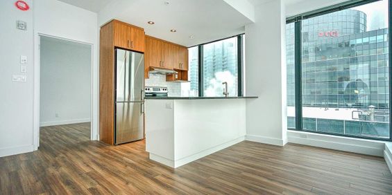 1 chambre - 1380 René-Lévesque Ouest, Montréal - Photo 3