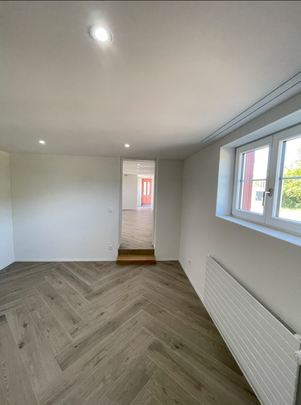 Moderne, totalsanierte 2.5 Zimmerwohnung in Wagenhausen - Photo 1