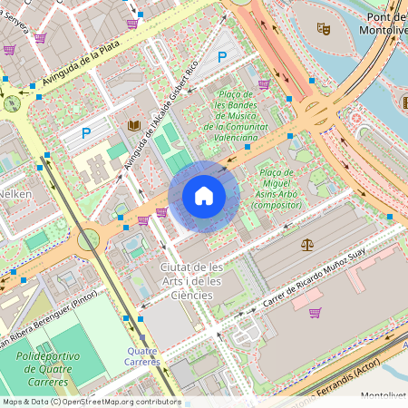 Plaça del Mestre Vicent Ballester Fandós, Valencia, Valencian Community 46013