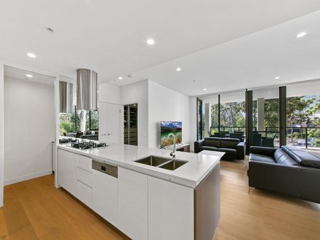 A206/13 Spurway Drive, Norwest NSW 2153 - Apartment For Rent | Domain - Photo 2