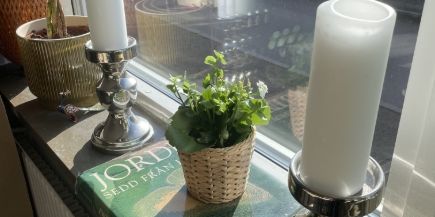 Helsingborg - 2rok - tillsv - 7.992kr/mån - Photo 3