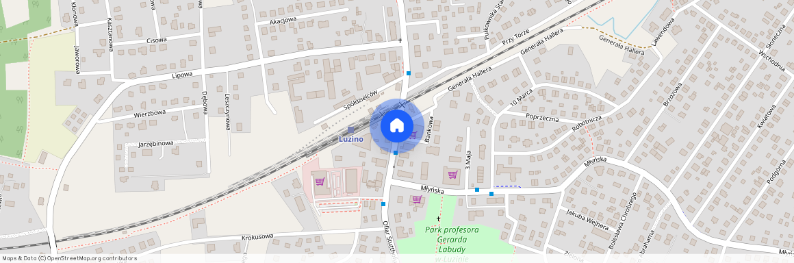 Luzino, Luzino, wejherowski, pomorskie