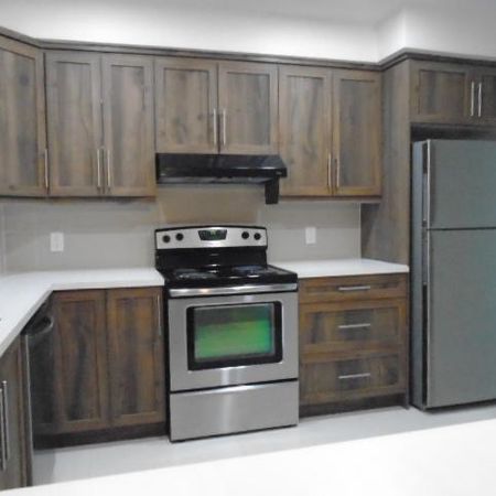 5 ½ rue Papineau Rénové 5 électros inclus Montréal LIBRE - Photo 4