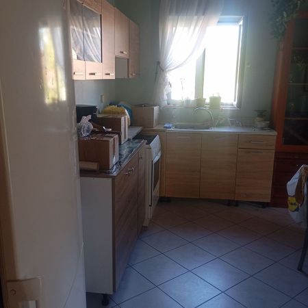Μονοκατοικία για ενοικίαση Πρόδρομος (Κάμπος) - Photo 2