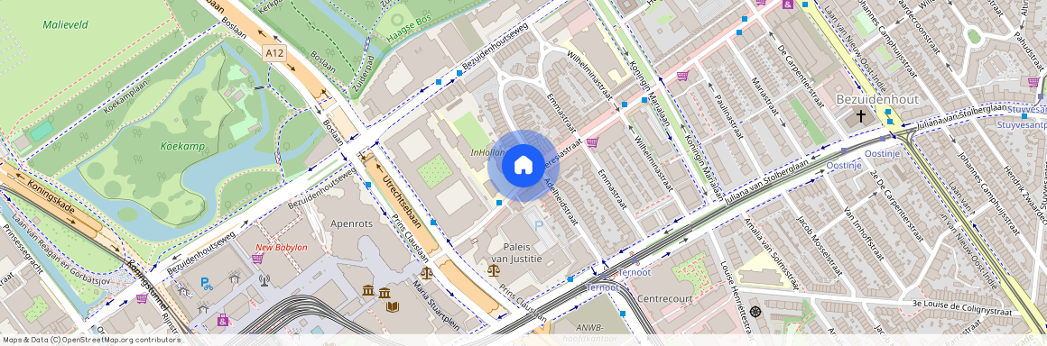 Theresiastraat 12C, 2593AN, 'S-Gravenhage